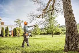 How Our Tree Care Process Works  in  Lake Crystal, MN